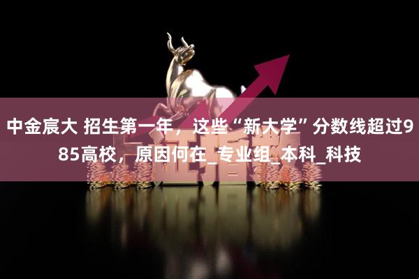 中金宸大 招生第一年,这些“新大学”分数线超过985高校,原因何在_专业组_本科_科技